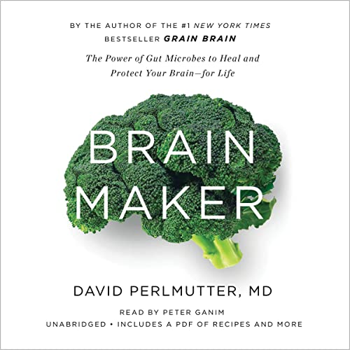 Brain Maker cover art