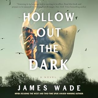 Hollow Out the Dark Audiolibro Por James Wade arte de portada