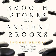 Smooth Stones Taken from Ancient Brooks cover art