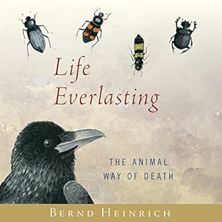 Life Everlasting Audiolibro Por Bernd Heinrich arte de portada