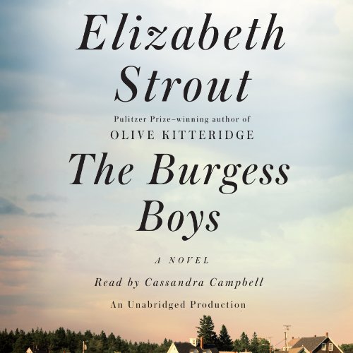 Page de couverture de The Burgess Boys