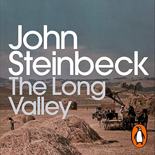 The Long Valley cover art