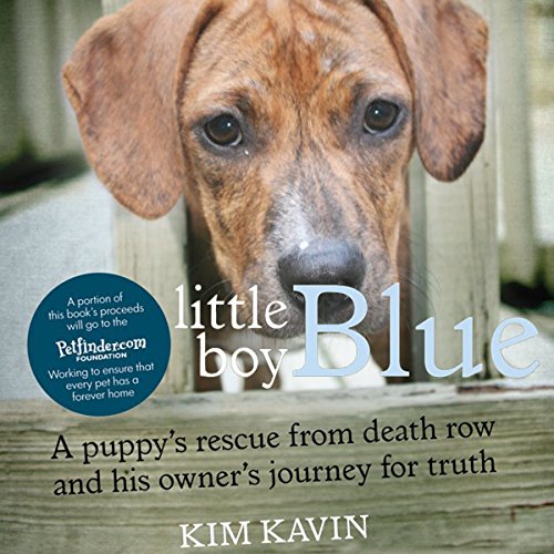 Little Boy Blue Audiolibro Por Kim Kavin arte de portada