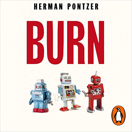 Burn cover art