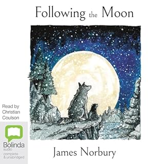 Following the Moon cover art