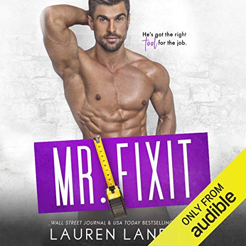 Mr. Fixit cover art