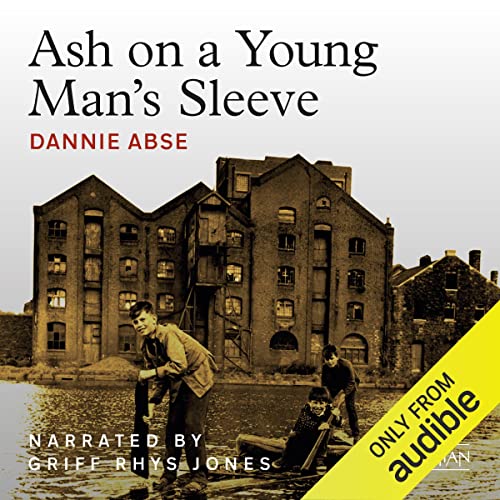 Ash on a Young Man's Sleeve cover art