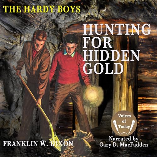 Hunting for Hidden Gold cover art