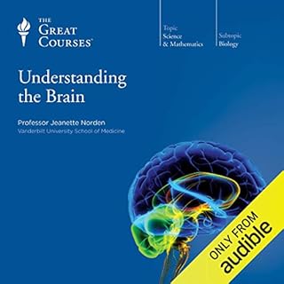 Understanding the Brain Audiobook By Jeanette Norden, The Great Courses cover art