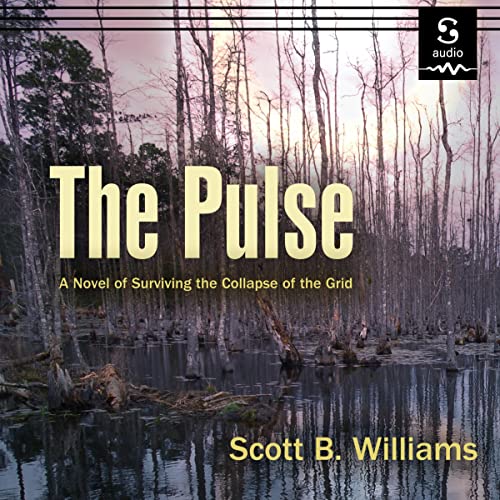 The Pulse Audiobook By Scott B. Williams cover art