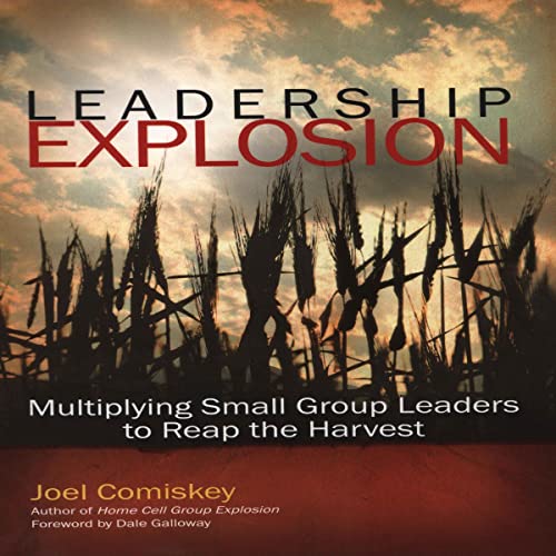 Leadership Explosion cover art