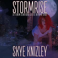 Stormrise cover art