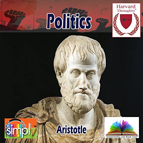 Politics cover art