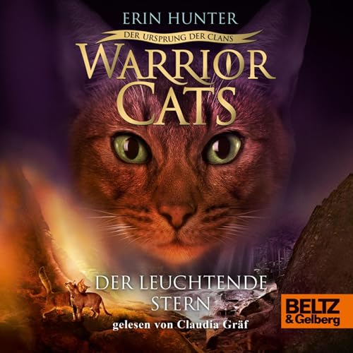 Der Leuchtende Stern cover art