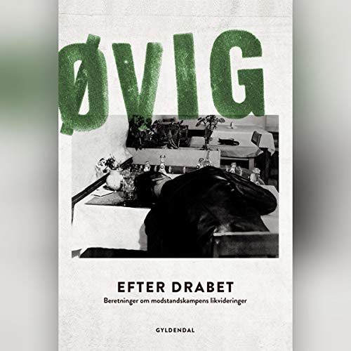 Efter drabet Audiobook By Peter Øvig Knudsen cover art