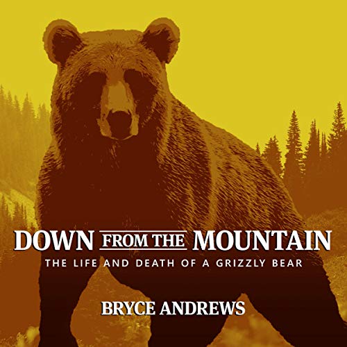 Down from the Mountain Audiolibro Por Bryce Andrews arte de portada