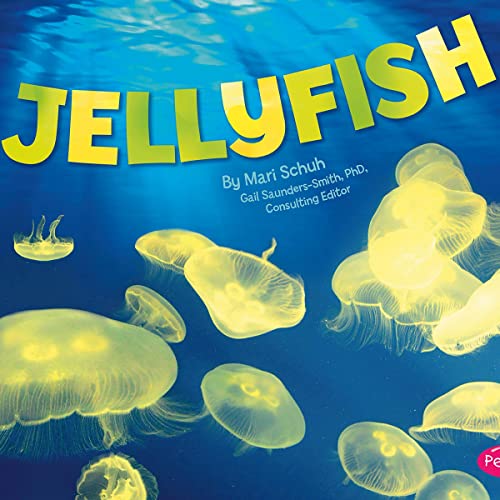 Jellyfish cover art