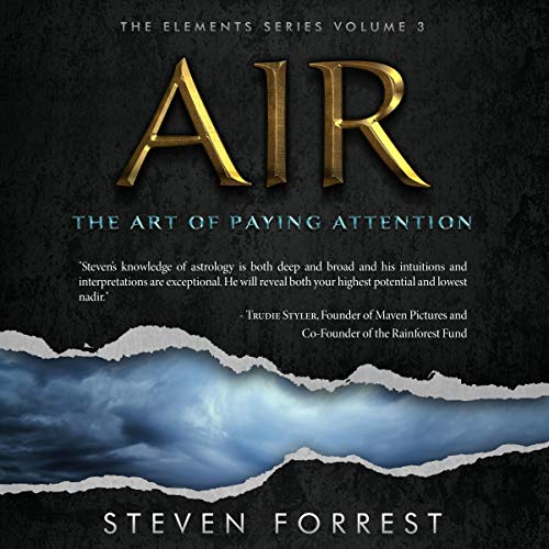 The Book of Air: The Art of Paying Attention Audiolibro Por Steven Forrest arte de portada