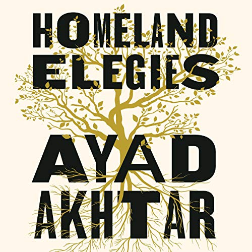 Couverture de Homeland Elegies