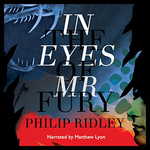 In the Eyes of Mr Fury Audiolibro Por Philip Ridley arte de portada