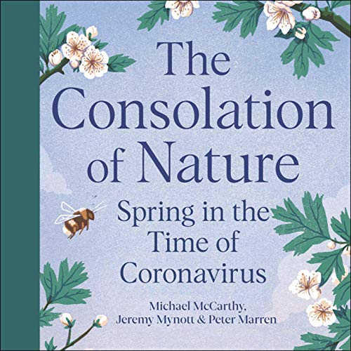 The Consolation of Nature cover art