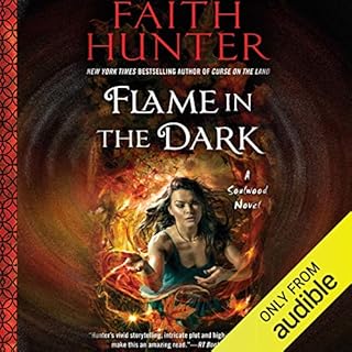 Flame in the Dark cover art