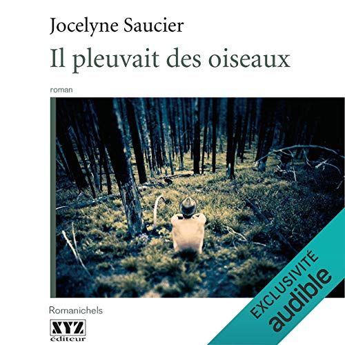 Il pleuvait des oiseaux [And the Birds Rained Down] Audiobook By Jocelyne Saucier cover art