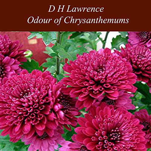 Odour of Chrysanthemums Audiolibro Por D H Lawrence arte de portada