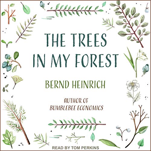 The Trees in My Forest Audiolibro Por Bernd Heinrich arte de portada