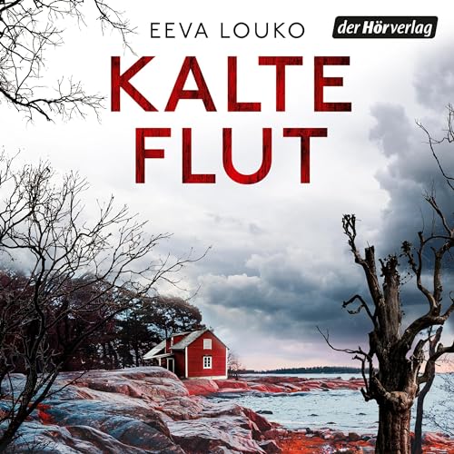 Kalte Flut Audiolivro Por Eeva Louko, Anu Katariina Lindemann - Übersetzer capa