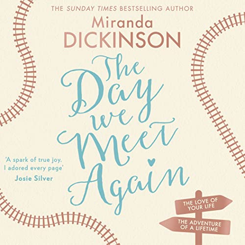 The Day We Meet Again cover art