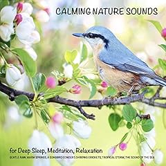 Calming Nature Sounds (without music) for Deep Sleep, Meditation, Relaxation cover art