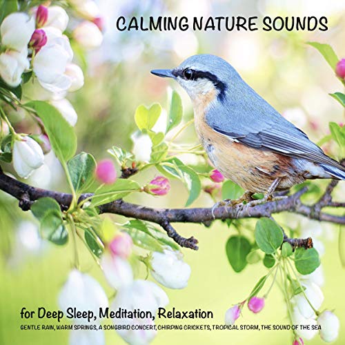 Calming Nature Sounds (without music) for Deep Sleep, Meditation, Relaxation cover art