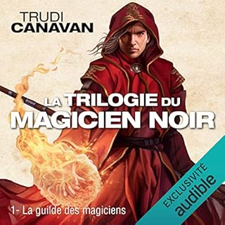 Couverture de La guilde des magiciens