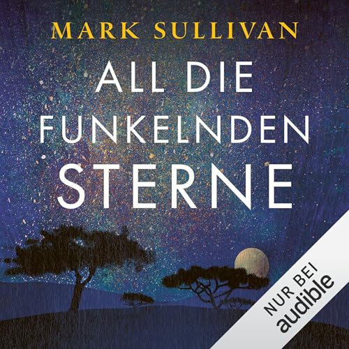 All die funkelnden Sterne cover art