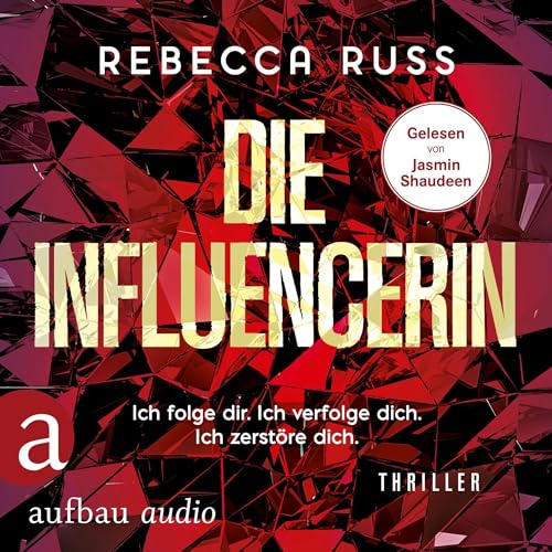 Die Influencerin cover art