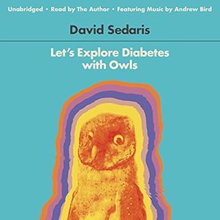 Let's Explore Diabetes with Owls Audiobook By David Sedaris cover art