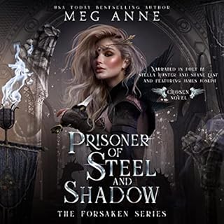 Prisoner of Steel and Shadow Audiolibro Por Meg Anne arte de portada