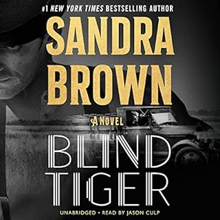 Blind Tiger Audiolibro Por Sandra Brown arte de portada