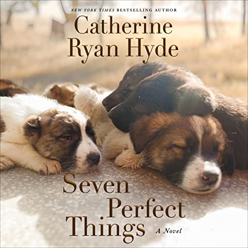 Seven Perfect Things cover art