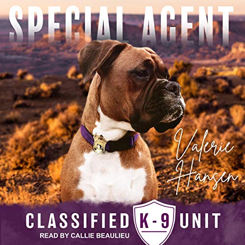 Special Agent cover art