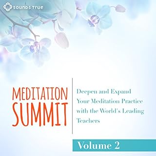 The Meditation Summit: Volume 2 Audiobook By Tara Brach Ph.D., Richard Miller PhD, Reverend Angel Kyodo Williams, Joseph Gold