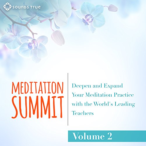 The Meditation Summit: Volume 2 cover art