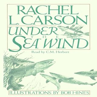 Under the Sea Wind Audiolibro Por Rachel L. Carson arte de portada