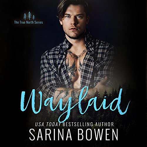 Waylaid Audiolivro Por Sarina Bowen capa