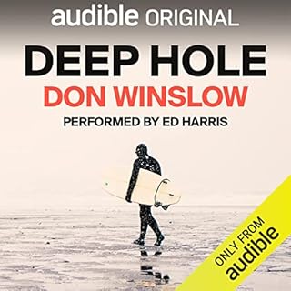 Deep Hole Audiolibro Por Don Winslow arte de portada