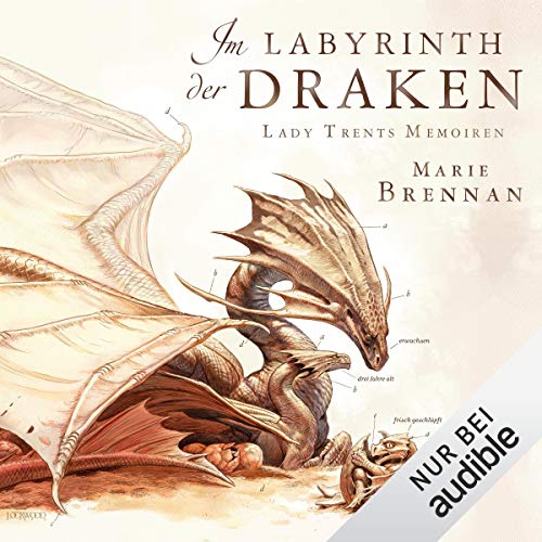 Im Labyrinth der Draken Titelbild