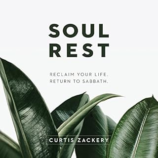 Soul Rest Audiobook By Curtis Zackery cover art