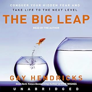 The Big Leap Audiobook By Gay Hendricks cover art