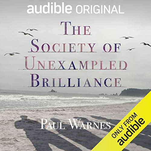 The Society of Unexampled Brilliance cover art